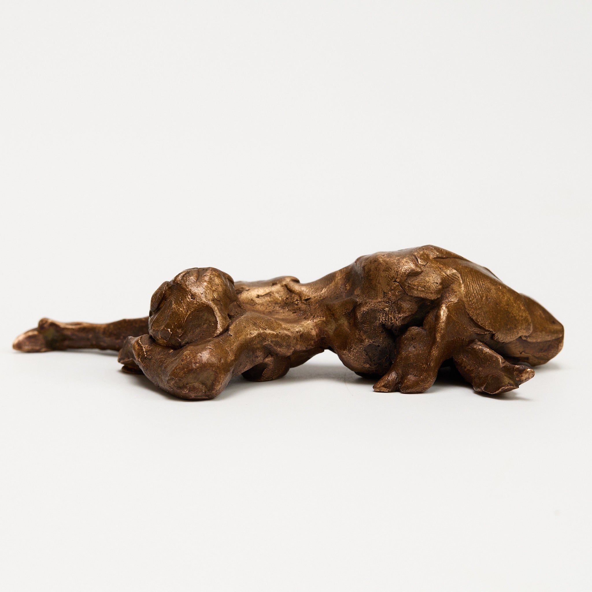 Saúl Velázquez de Castro, Despertar