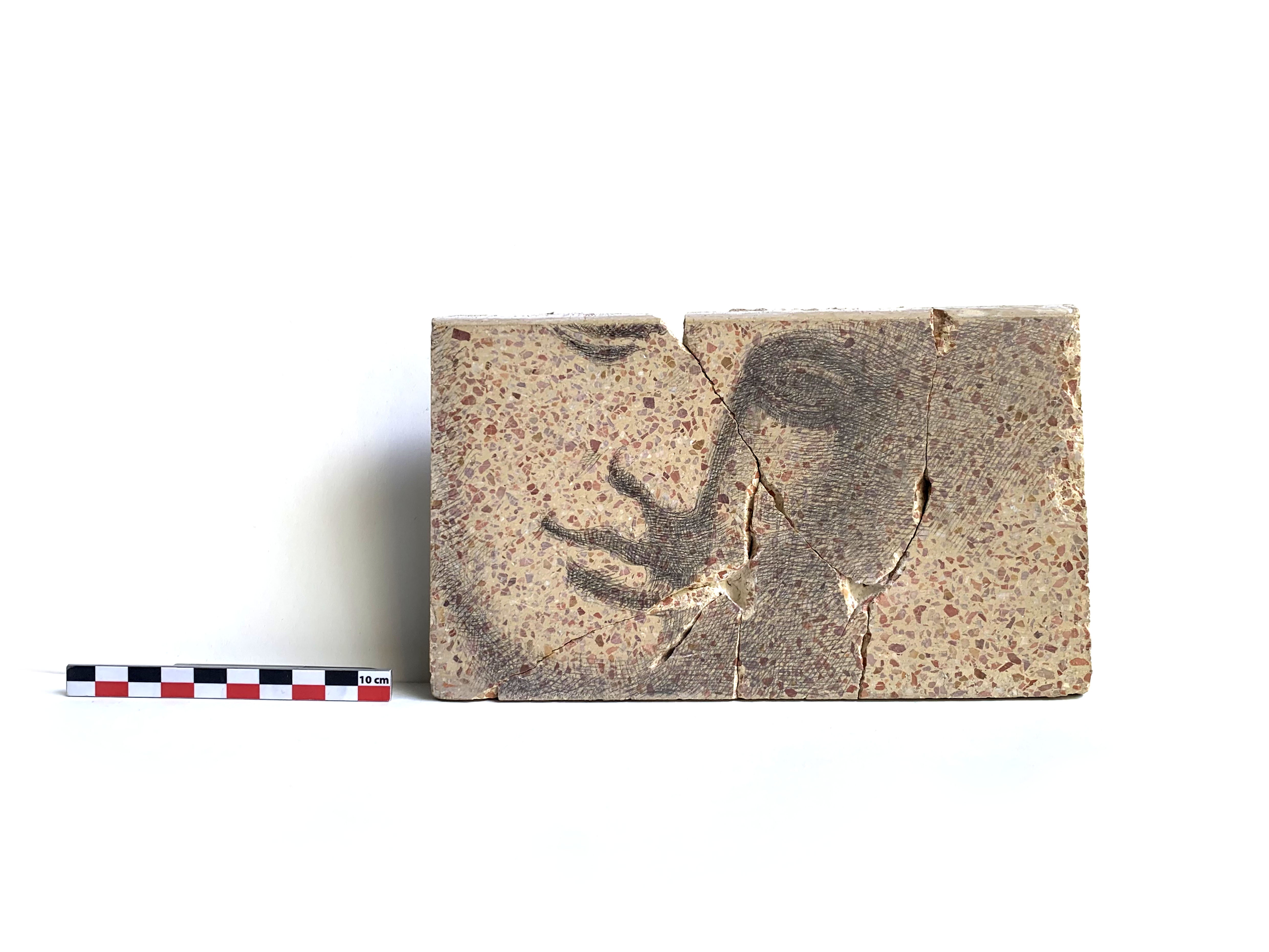 Venus d’Arles fragmentée