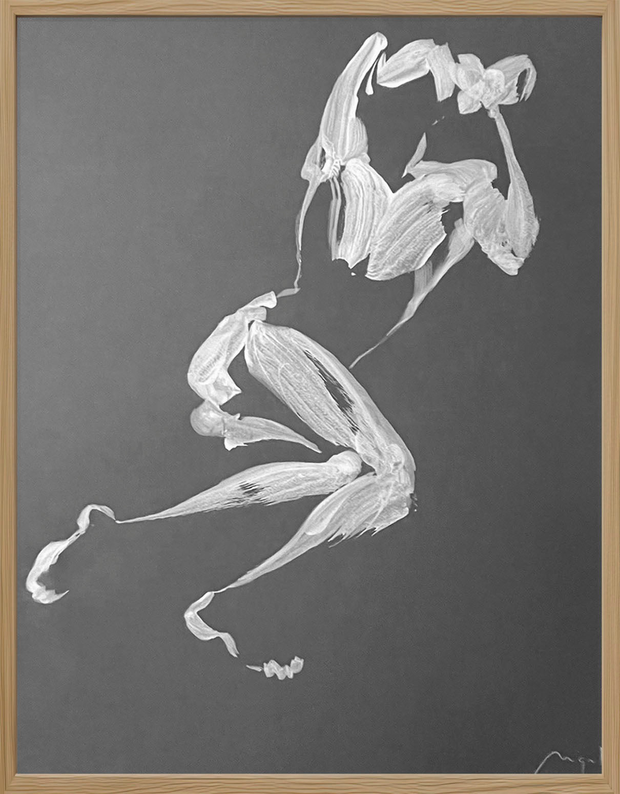 « Série Ghost, Dorian »