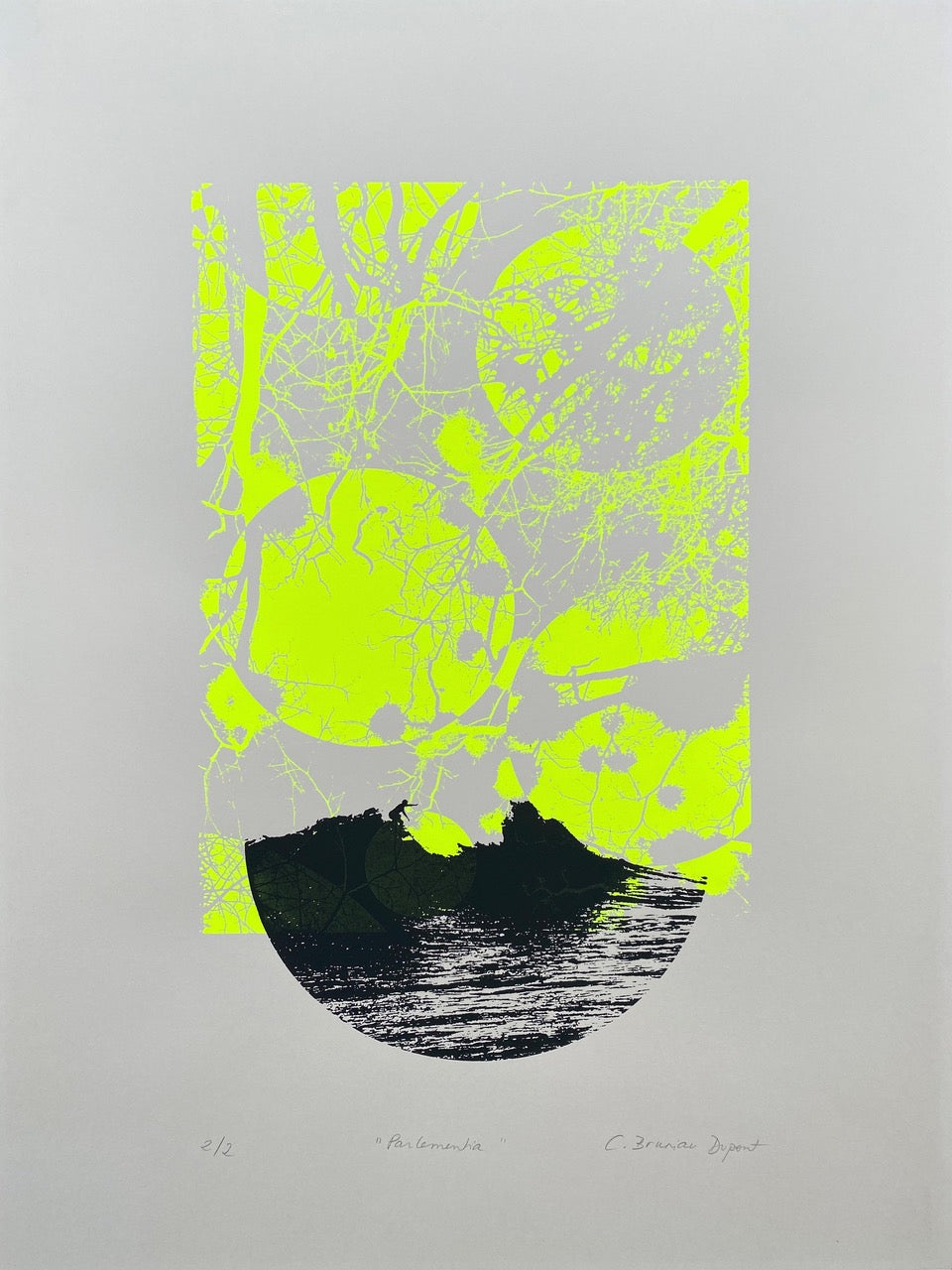 Christine Bruniau Dupont - Parlementia